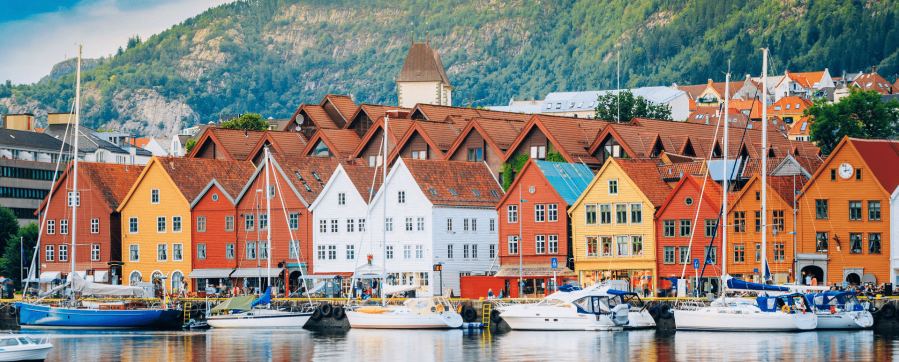 My project 1 15 1920x775 acf cropped