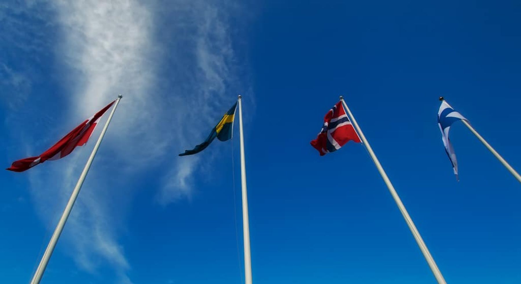 6008186898 5355bb026a b