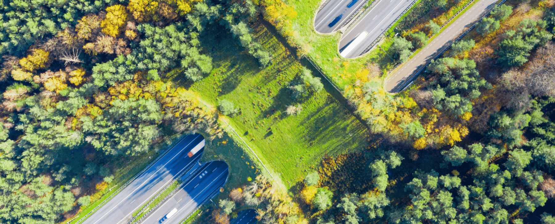 My project 1 49 1920x775 acf cropped 1920x775 acf cropped