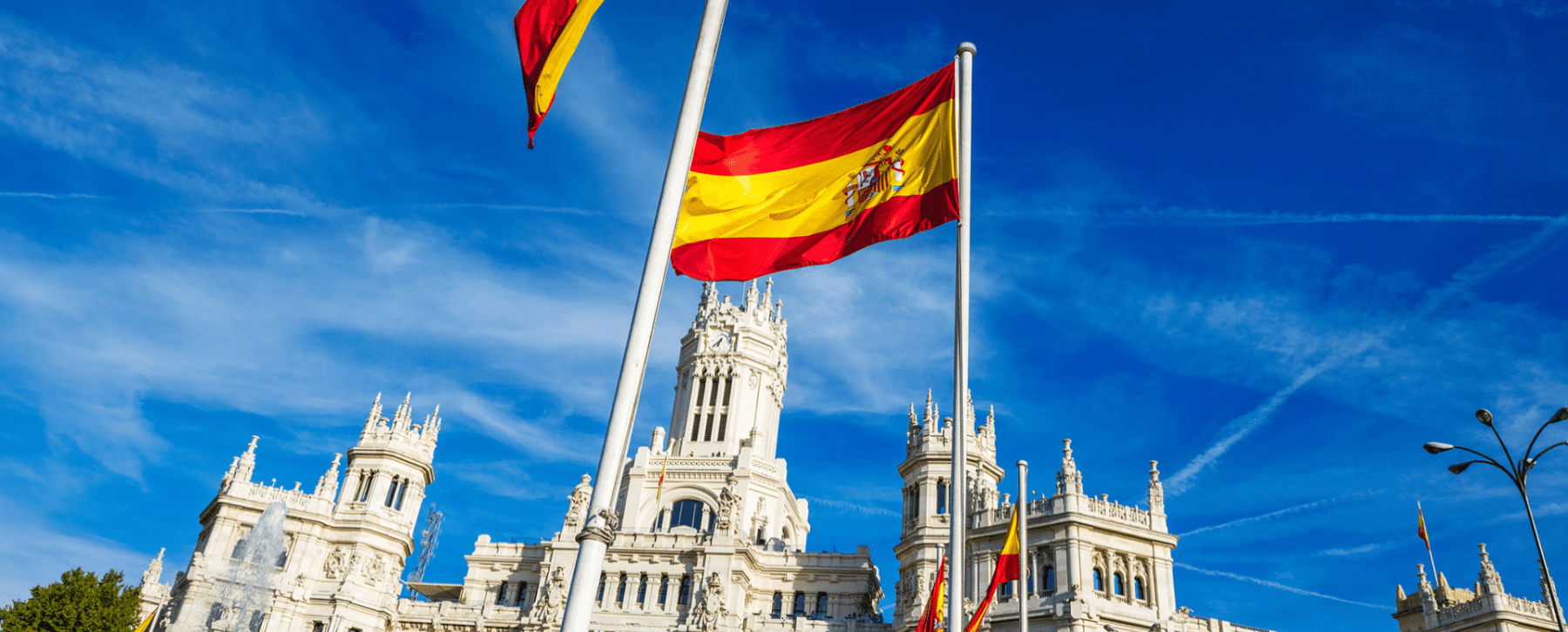 My project 1 1920x775 acf cropped 1