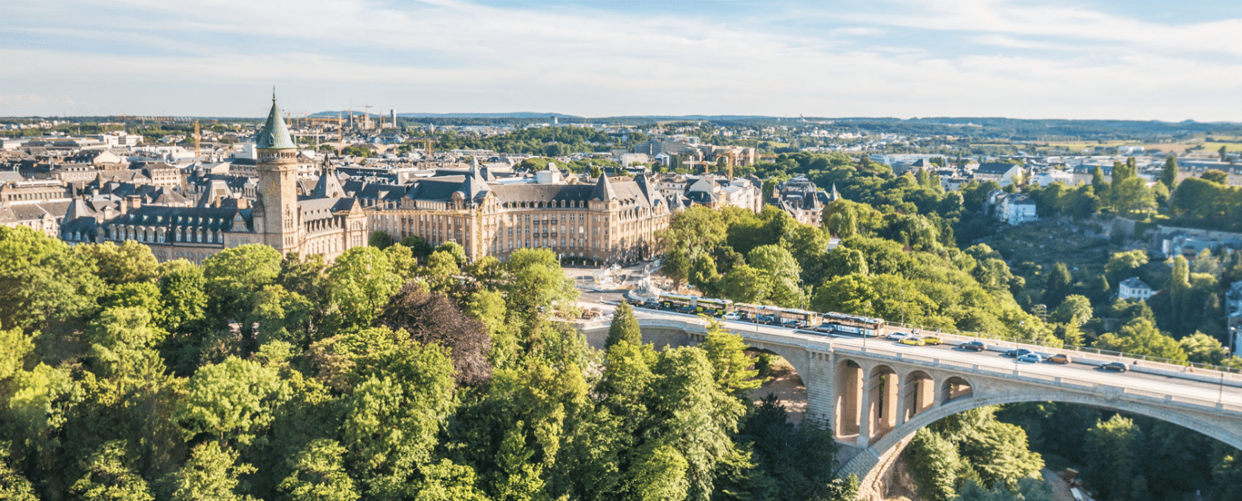 My project 1 43 1920x775 acf cropped