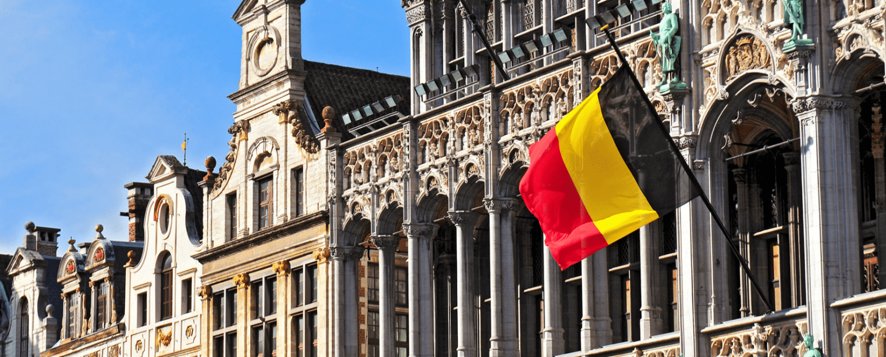 My project 1 41 1920x775 acf cropped