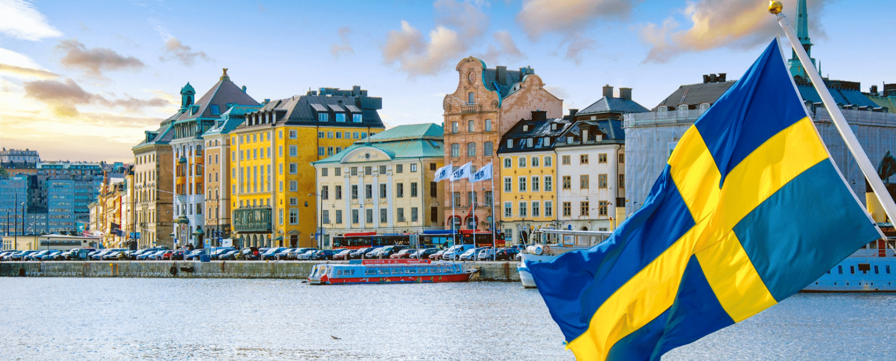 My project 1 19 1920x775 acf cropped